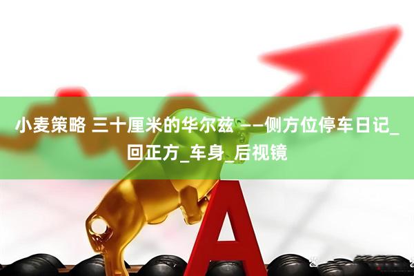 小麦策略 三十厘米的华尔兹 ——侧方位停车日记_回正方_车身_后视镜